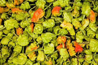 索尼在线服务游戏战略触礁 12款游戏计划只剩4款